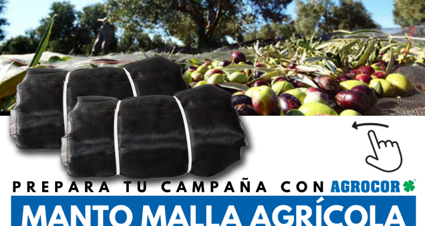 Mantos de olivar Lienzos