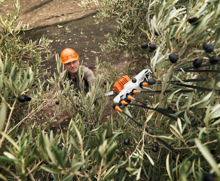 el STIHL SPA 130/140 se consolida como el vareador de batería más equilibrado del mercado, ideal tanto para profesionales del olivar como para usuarios exigentes del sector agrícola y de jardinería. Nuevos Vareadores STIH a batería SPA 130 y 140 Córdoba Lucena Baena Montilla Puente Genil Priego Rute Vareadores de batería: eficiencia, equilibrio y calidad en la recolección del olivar