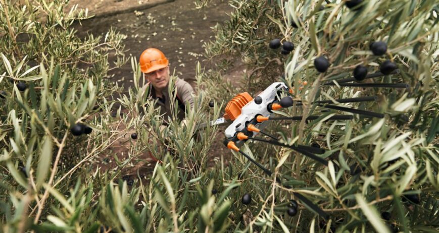 el STIHL SPA 130/140 se consolida como el vareador de batería más equilibrado del mercado, ideal tanto para profesionales del olivar como para usuarios exigentes del sector agrícola y de jardinería. Nuevos Vareadores STIH a batería SPA 130 y 140 Córdoba Lucena Baena Montilla Puente Genil Priego Rute Vareadores de batería: eficiencia, equilibrio y calidad en la recolección del olivar
