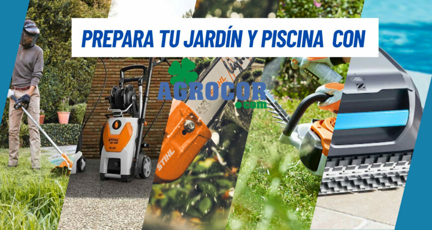 ¡No te rindas con tu jardín! La clave está en elegir bien