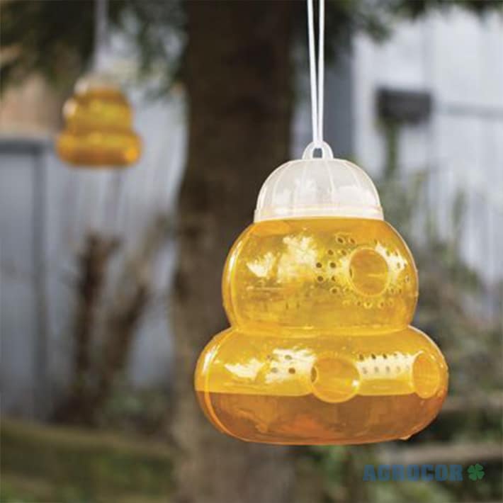 Trampa para avispas 13 x 15 cm - Imagen 5