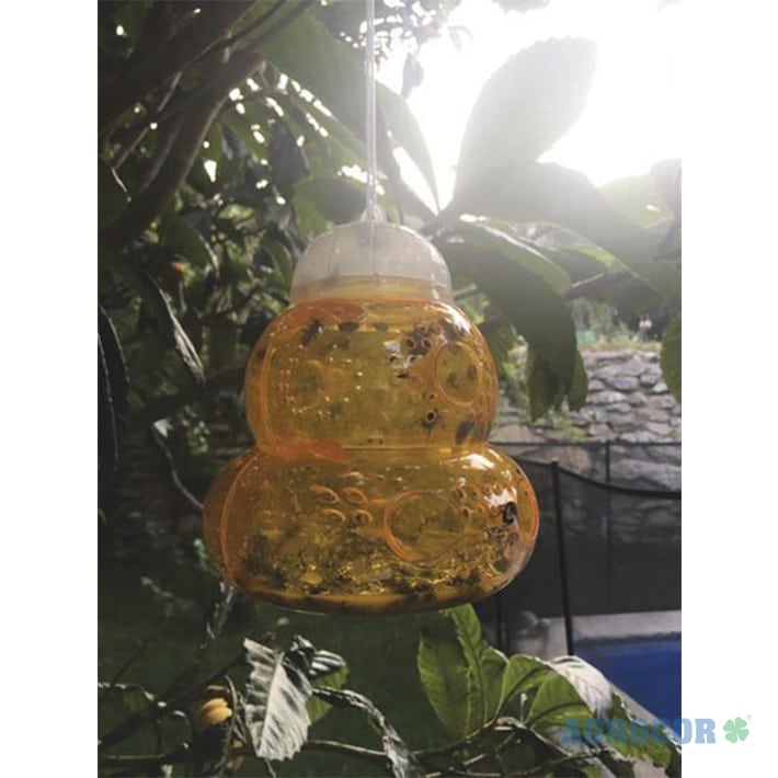 Trampa para avispas 13 x 15 cm - Imagen 4