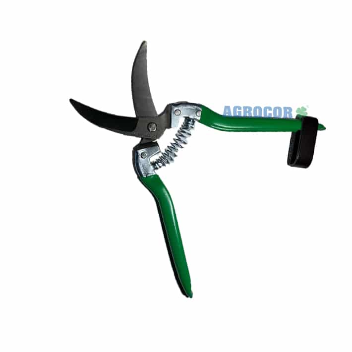 Tijera para ajos curva F151 (verde) - Imagen 2