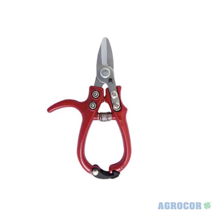 Tijera recoleccion citricos Kamikaze mediterraneo