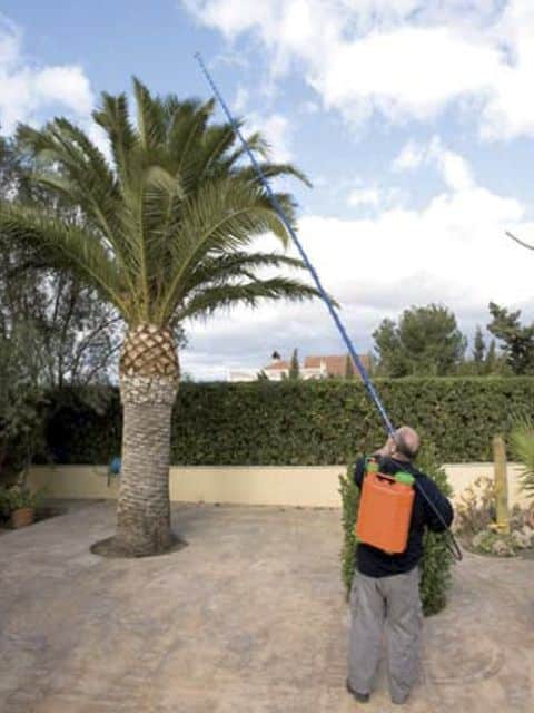 Lanza telescopica  6,50 mt. (sf)