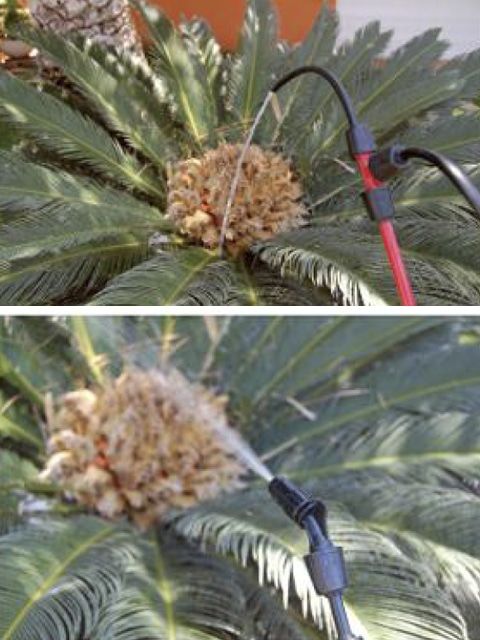 Lanza telescopica 5 mts PULMIC (sh)