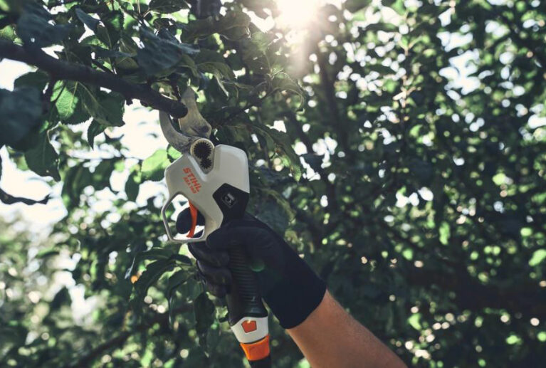 Si eres una empresa y te interesa hacer un pedido o ser partner de AGROCOR, nuestro equipo está preparado para atenderte y ofrecerte toda la información necesaria para iniciar la colaboración.