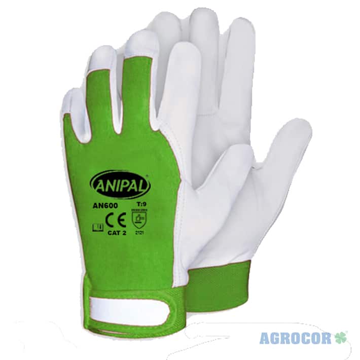 Guante ANIPAL AN 600 Piel/Algodon (velcro) 81 RV