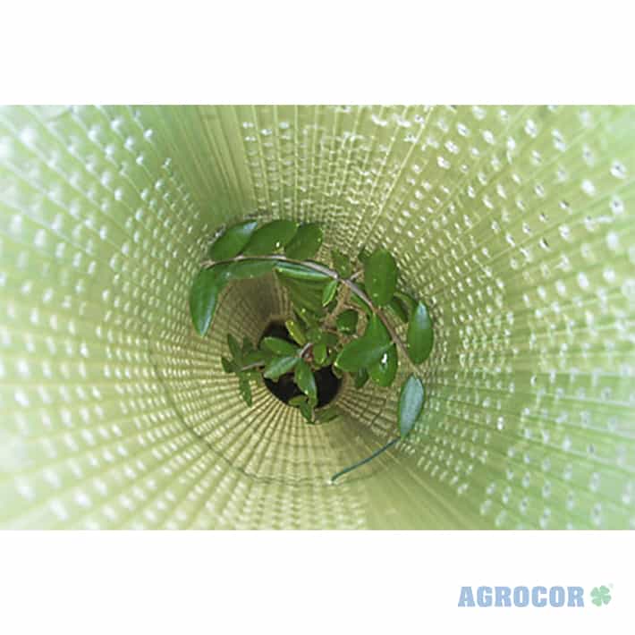 Protector forestal tubo 0,60 mts cerrado - Imagen 7