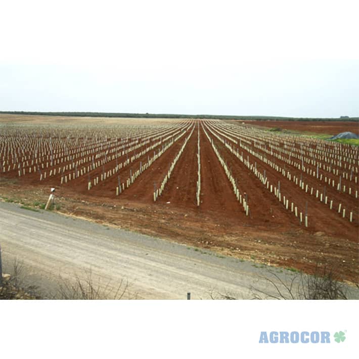 Protector forestal tubo 0,60 mts cerrado - Imagen 9