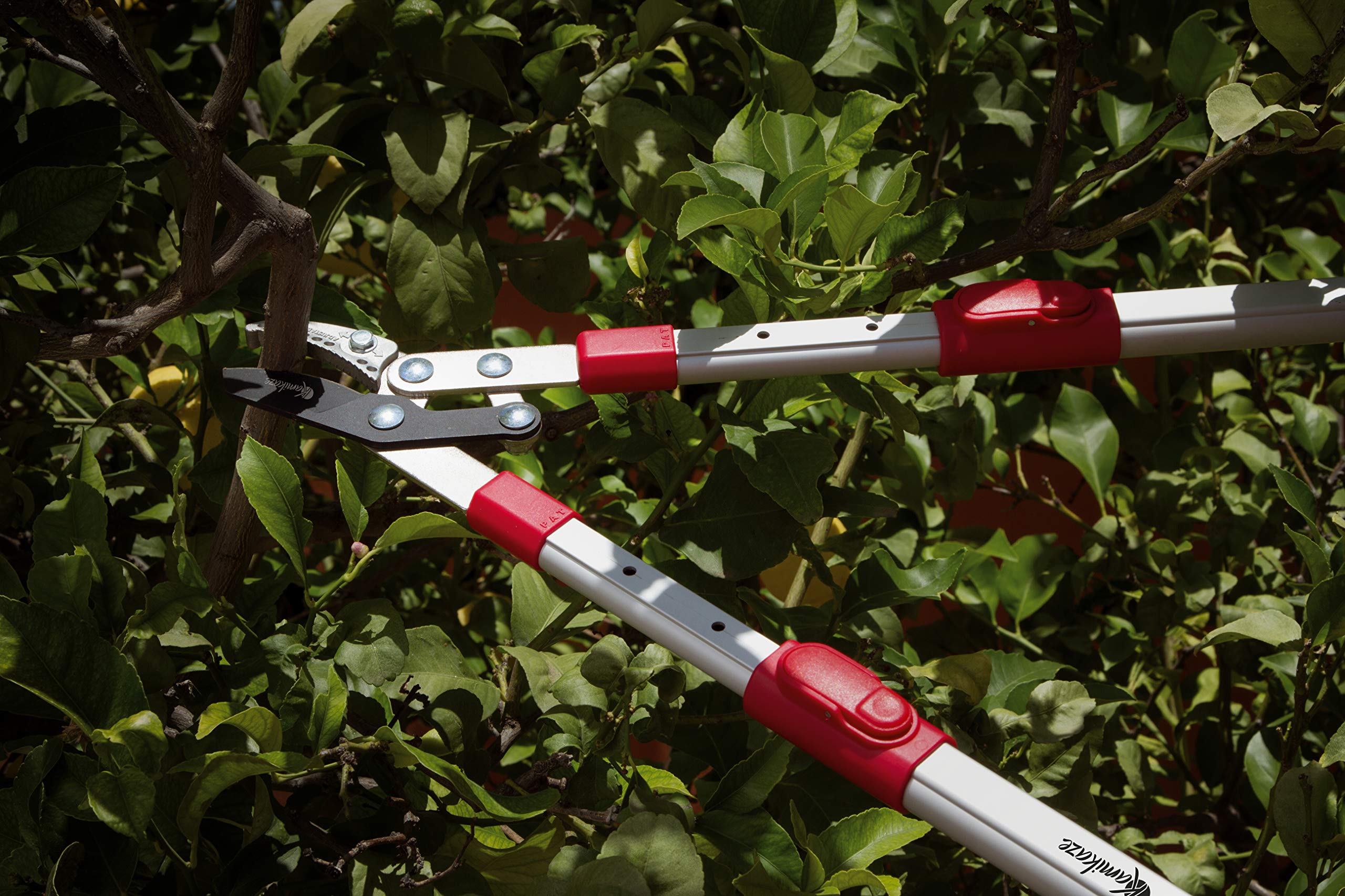 Tijera cortasetos Kamikaze KM-40 (Mango telesc)