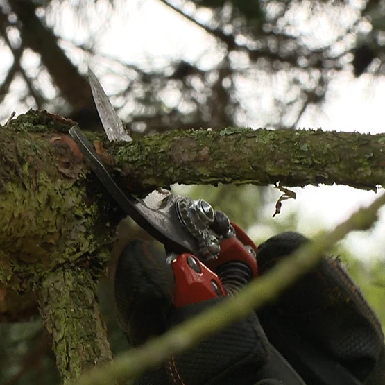 Tijera una mano Ergo PXR-M2 (ø 20mm) - Imagen 2