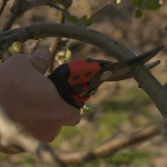 Tijera una mano Ergo PXR-M2 (ø 20mm) - Imagen 3