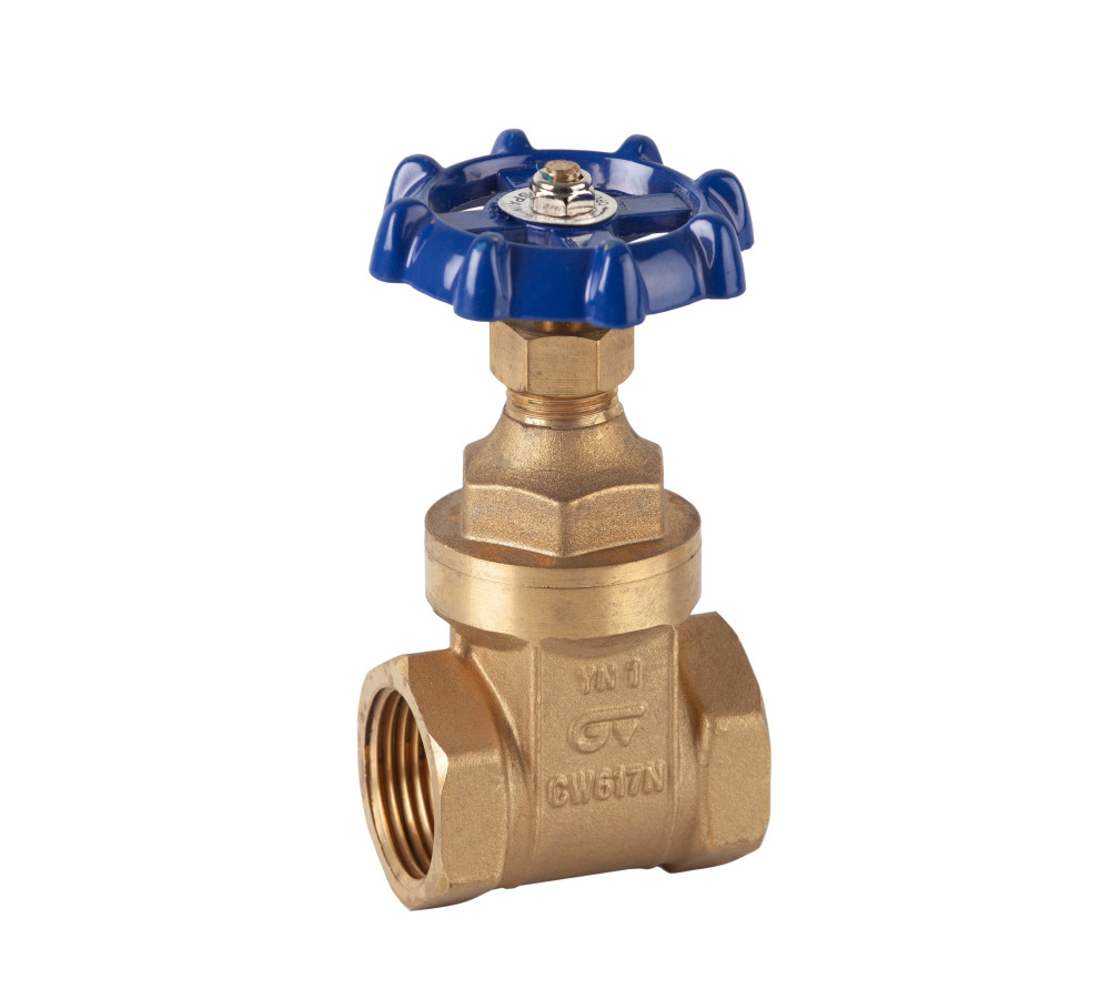 Valvula compuerta 2´´1/2