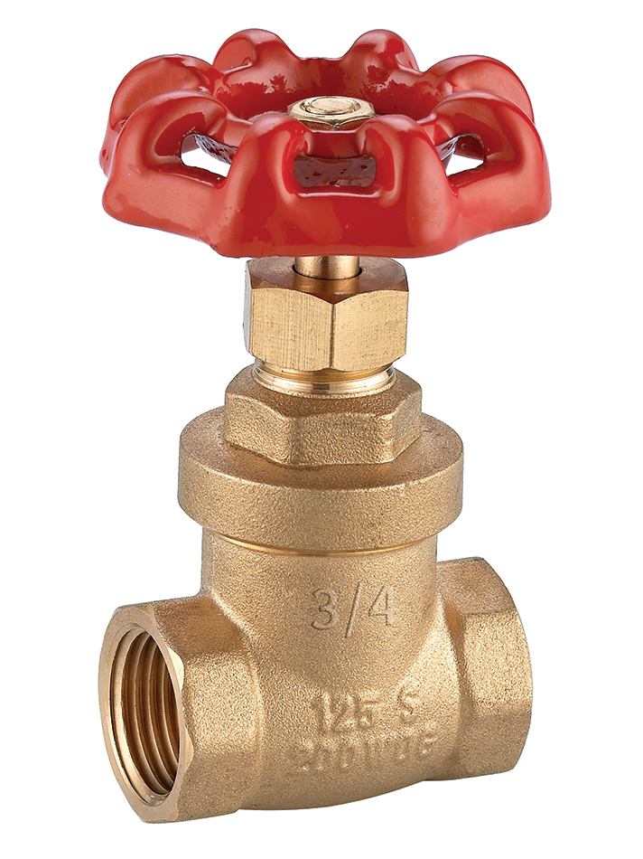 Valvula compuerta 1/2´´