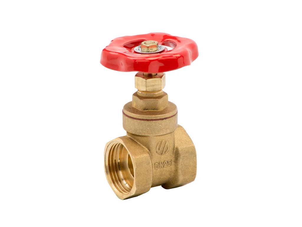 Valvula compuerta 1´´1/2