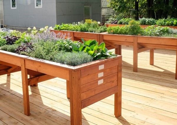 Accesorios y recambios