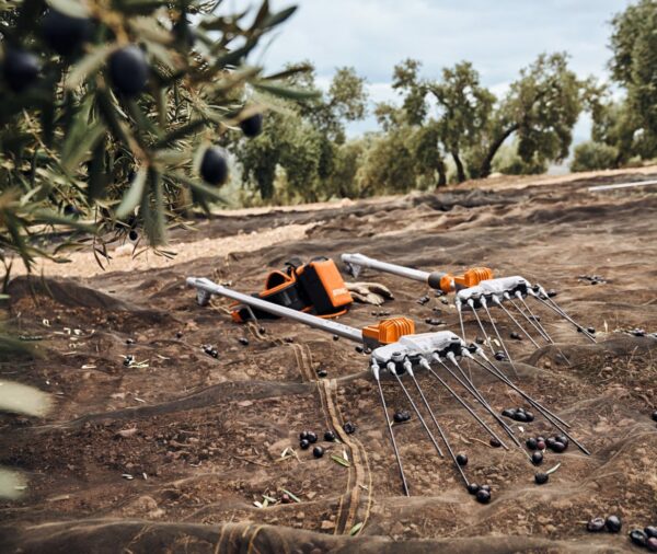 Complementos y Accesorios de recolección